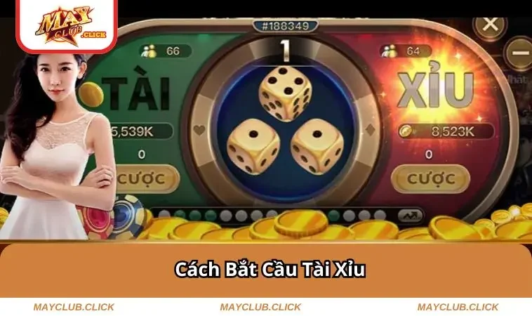 cach-bat-cau-tai-xiu