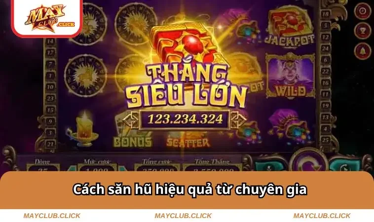 Cách săn hũ hiệu quả từ chuyên gia