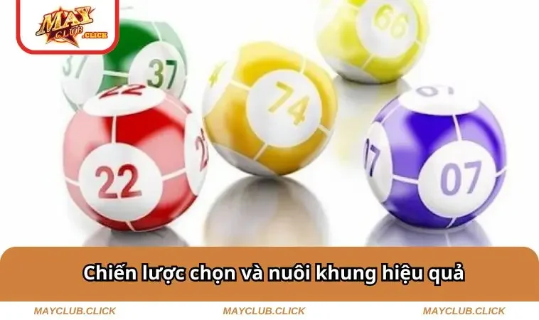 Dàn Đề 10 Số Nuôi Khung 5 Ngày - Chiến Thuật Ăn Chắc Mặc Bền 2 Chiến lược chọn và nuôi khung hiệu quả